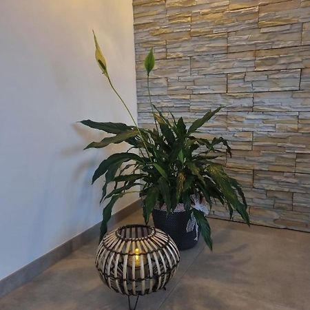 Wellness Ferienhaus メッヒャーニッヒ エクステリア 写真